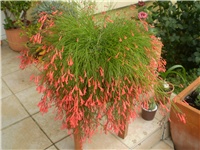 1cbd01b2-Picture 6332.jpg